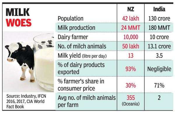 why indian dairy giants fear disruption from new zealand companies - times of india