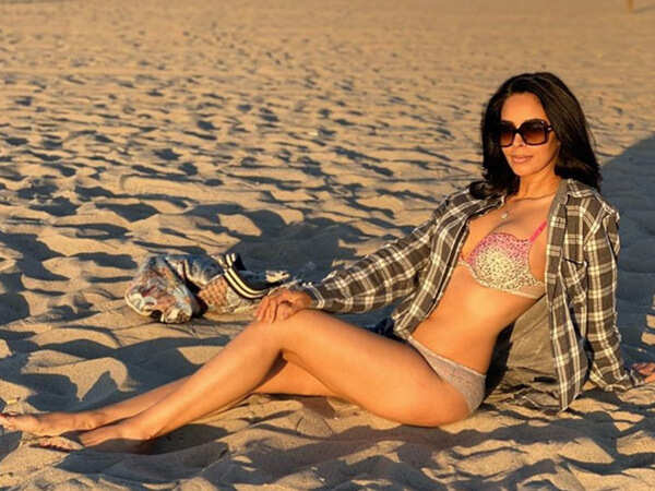 Photos: FIVE times Mallika Sherawat won the bikini game | Hindi Movie News - Times of India Photos: FIVE times Mallika Sherawat won the bikini game | Hindi Movie News - Times of India