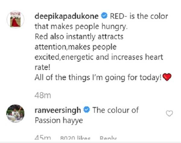 DeepVeer3