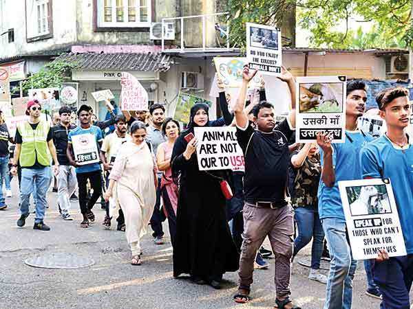 Mumbaikars Turn Up In Animal Costumes At Anti-cruelty March | Mumbai ...