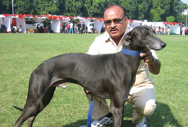 Irshad Khan with his Rampur Hound (BCCL/ Aditya Yadav)