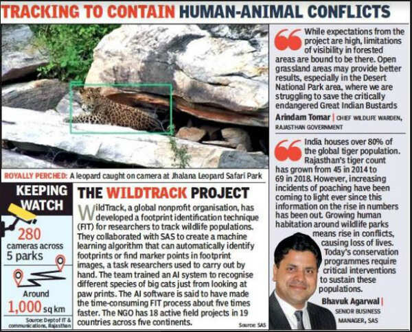 How Rajasthan’s tiger reserves are using real-time intelligence to ...