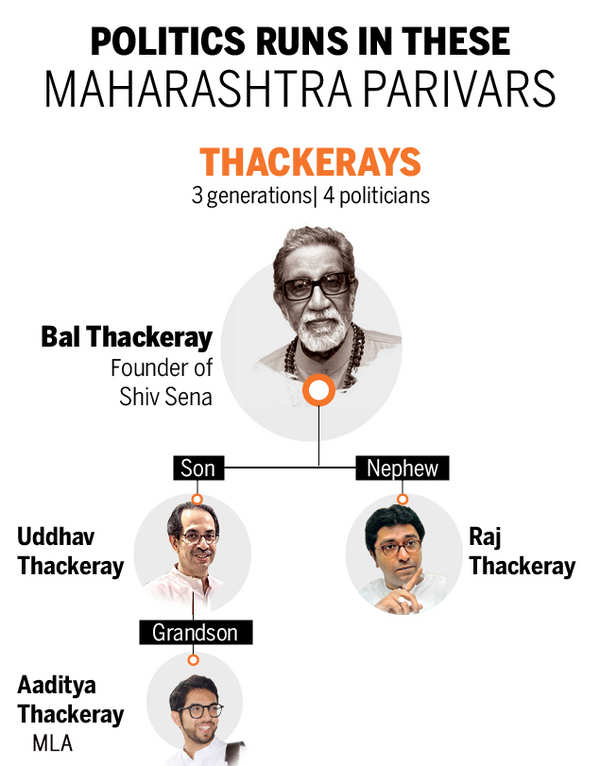 Maharashtra Politics: All You Need To Know About Thackeray And Pawar 