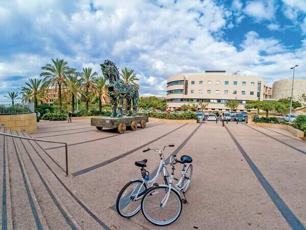 Study in Israel