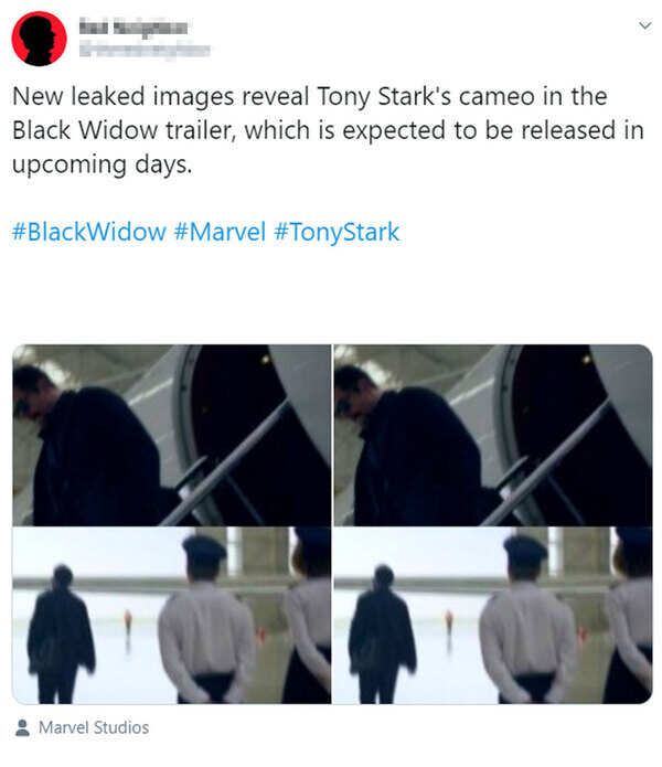 tony-cameo
