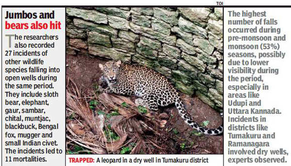 70 leopards fell into unsecured wells in 10 years: Study | Bengaluru ...