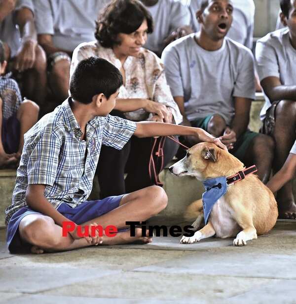 pt_therapy dogs (2)