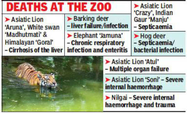 Mir Alam water causing cirrhosis of liver, killing animals at Hyderabad zoo | Hyderabad News - Times of India Mir Alam water causing cirrhosis of liver, killing animals at Hyderabad zoo | Hyderabad News - Times of India