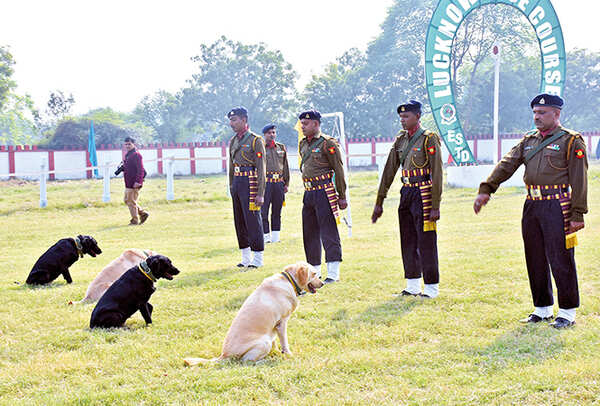 An impressive show was put forth by the canines of the RVC at the event (BCCL/ Farhan Ahmad Siddiqui)