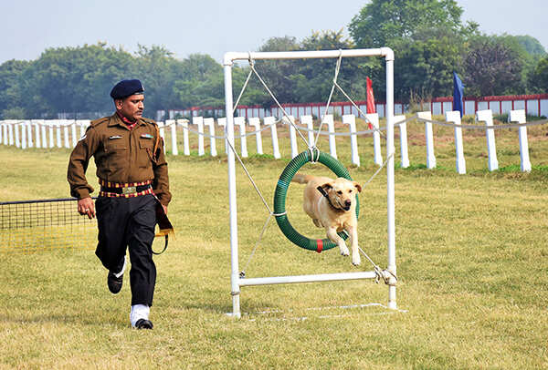 Dogs of the RVC made people cheer for them (BCCL/ Farhan Ahmad Siddiqui)