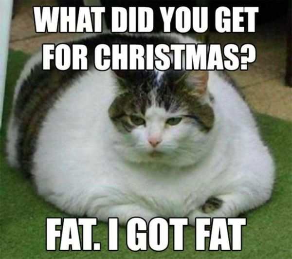 Merry Christmas 2023: 10 funny Xmas memes that will make you laugh out ...