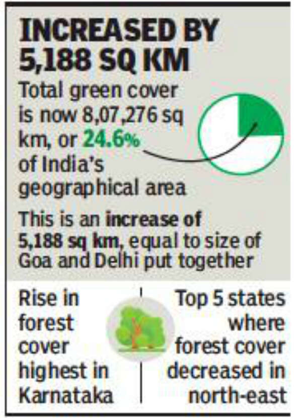 Karnataka adds over 1,000 sqkm forest in two years, tops list
