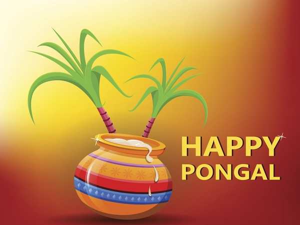 Mattu Pongal 2022 Wishes: Share Quotes, WhatsApp SMS, HD Images For WhatApp  And Facebook To Celebrate The Jallikattu Festival