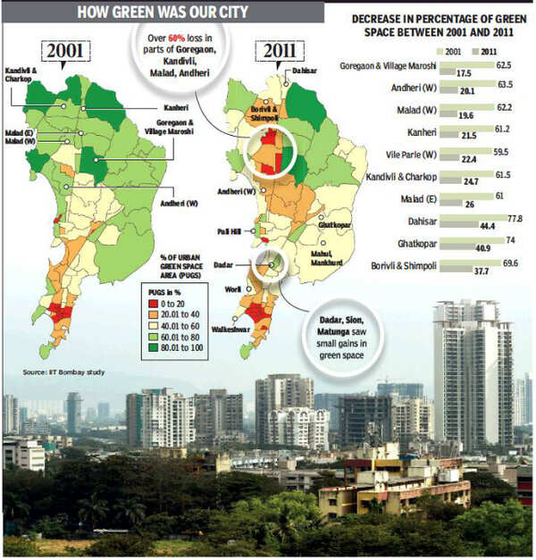 Mumbai lost 23 of green cover in millennium’s first decade Mumbai