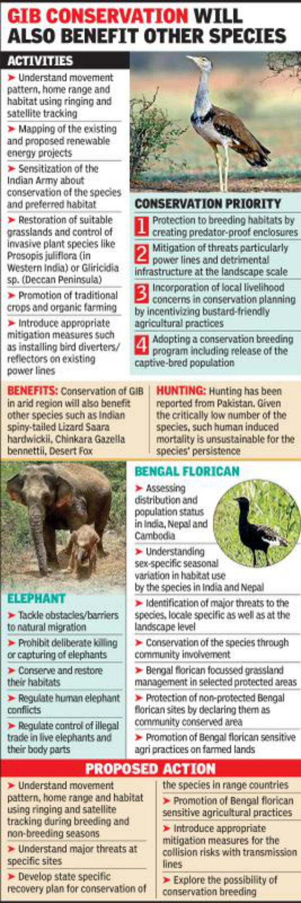 Elephant, GIB, Bengal florican move closer to CMS Appendix I | Ahmedabad News - Times of India Elephant, GIB, Bengal florican move closer to CMS Appendix I | Ahmedabad News - Times of India