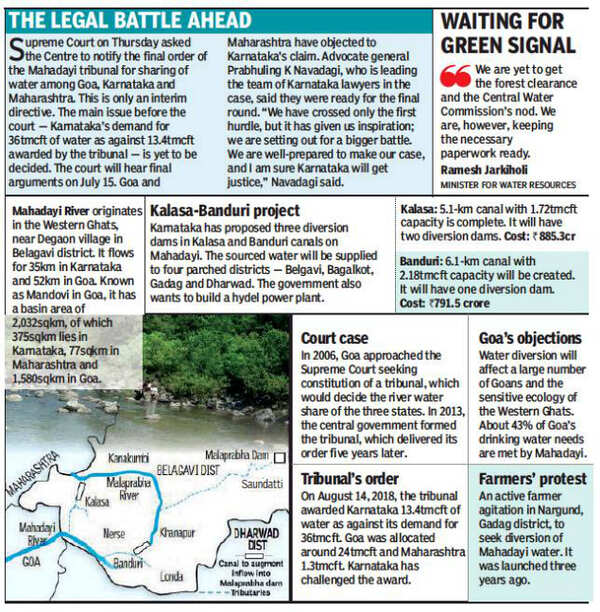 Karnataka: Funding, speedy clearances are major challenges for Mahadayi ...
