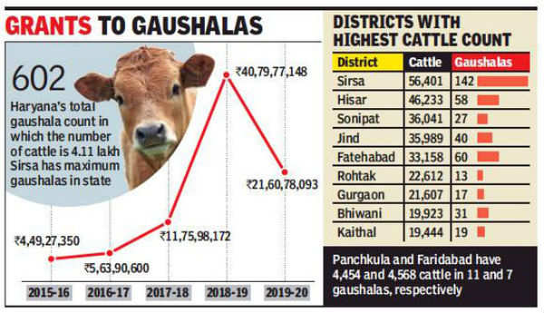 Haryana released Rs 21 crore for gaushalas in 2019-20 | Gurgaon News -  Times of India