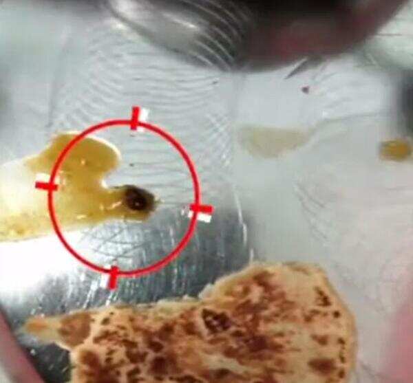 Insect found in canteen dal Ahmedabad News Times of India