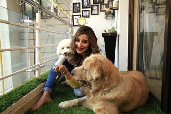 Ethical dog keeping: Take the right care of your furry friend | Kolkata  News - Times of India