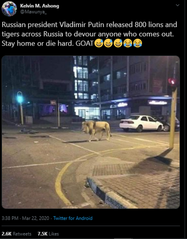 FAKE ALERT: No, Russia does not have lions roaming the streets to keep ...
