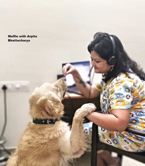 muffin_bhattacharya (3)