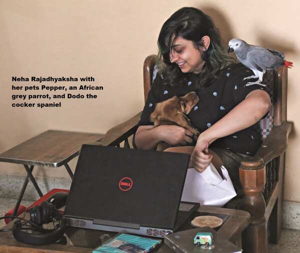 pepper_dodo_neha rajadhyaksh (1)