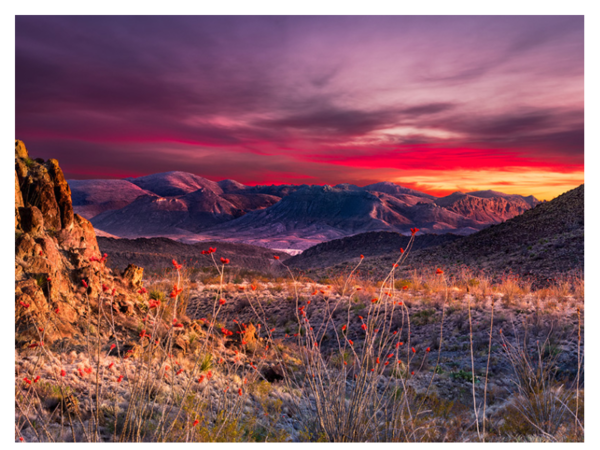mediawire_image_0