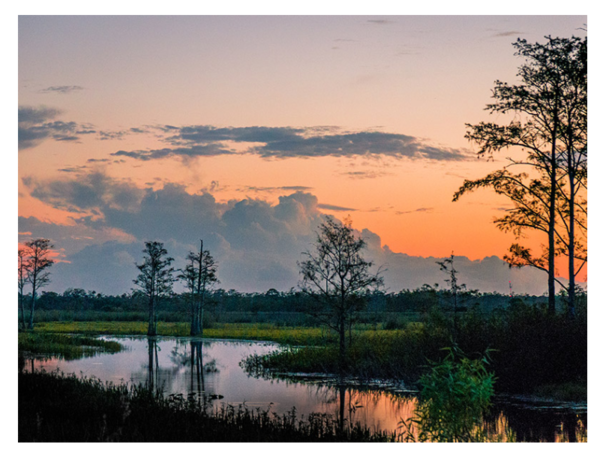 mediawire_image_0