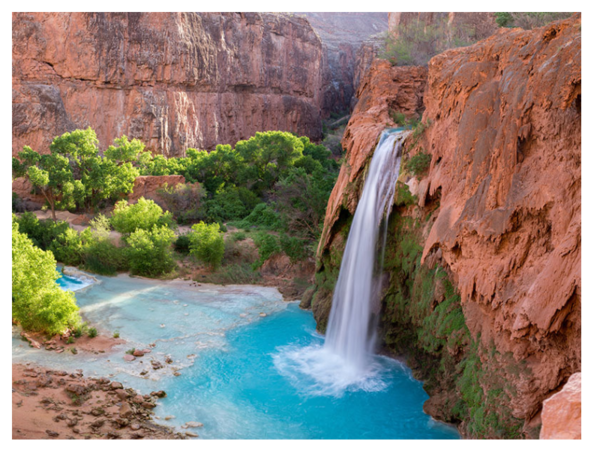 mediawire_image_0