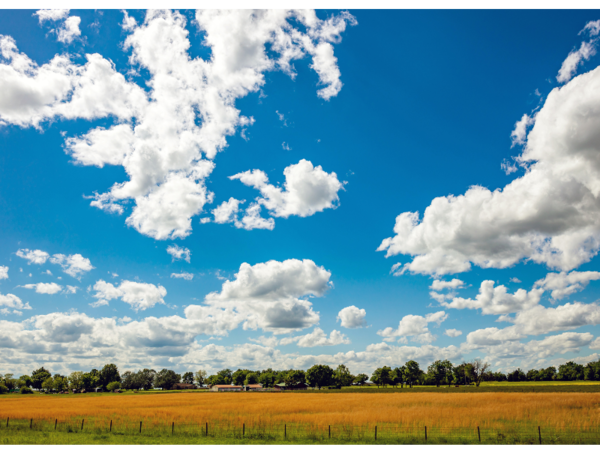 mediawire_image_0