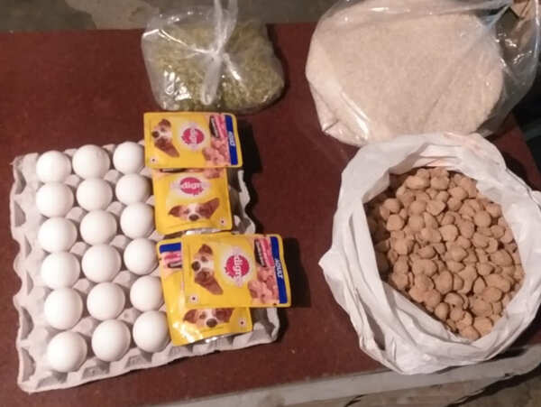 food for stray 635