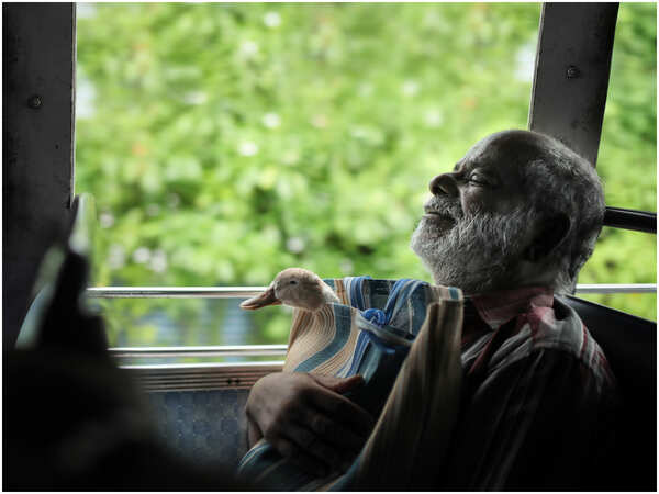 Eemayau
