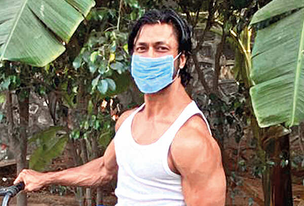 vidyut