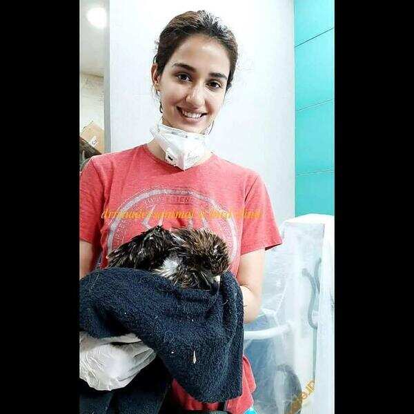WhatsApp Image 2020-04-11 at 9.39.46 PM.