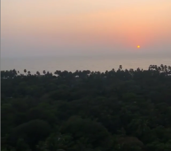 A still from the video shared by Pankaj Tripathi from his balcony in Mumbai