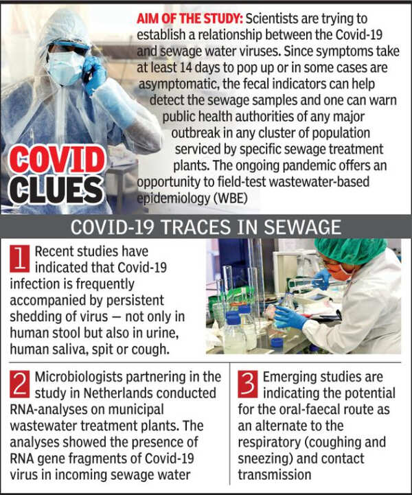 Ahmedabad: 'Sewage water tests can signal Covid-19' | Ahmedabad News - Times of India