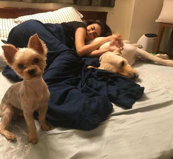 Mandana Karimi with her pets Elvis and Walnut