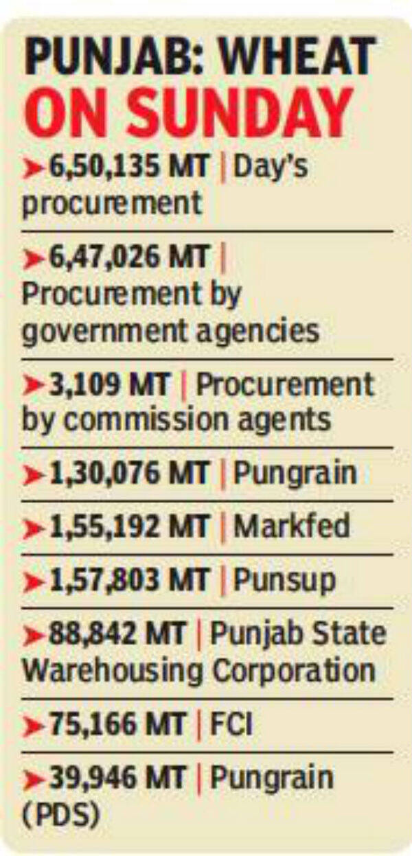 Ludhiana Vegetable growers suffer as prices take a nosedive Ludhiana