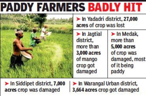 Unseasonal rains wreak havoc in Telangana, flatten crop in 61,000 acres ...
