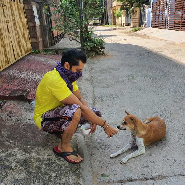 Chandan Kar feeding stray.