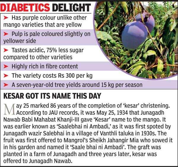 Is Mango Good For Diabetes? Let's look at the facts!