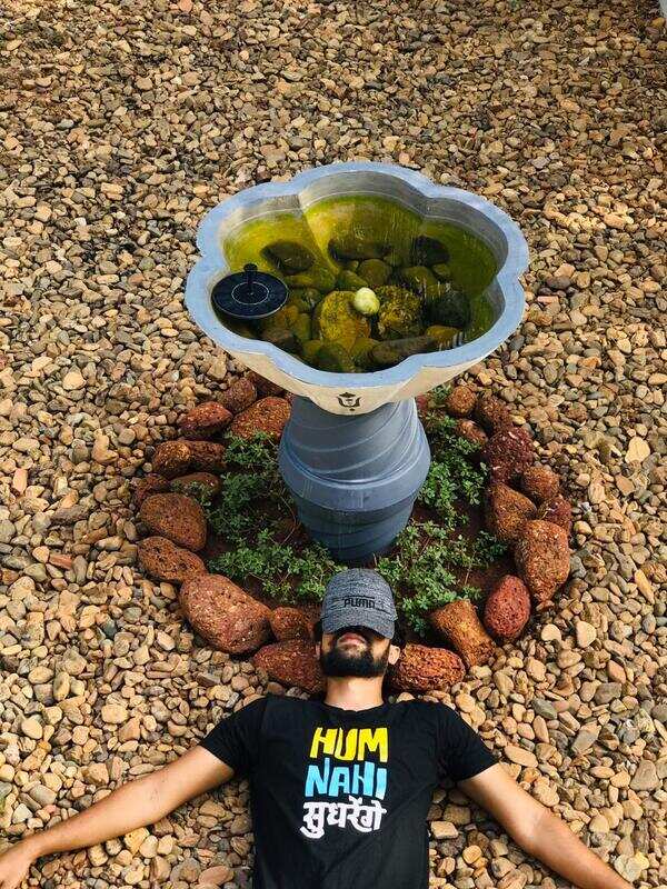 A bird bath