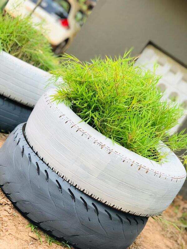 Repurposed tyres into planters
