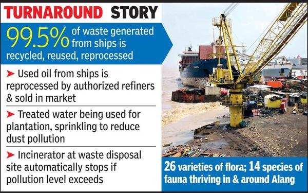 Gujarat: Green life thrives around graveyard for ships | Rajkot News ...