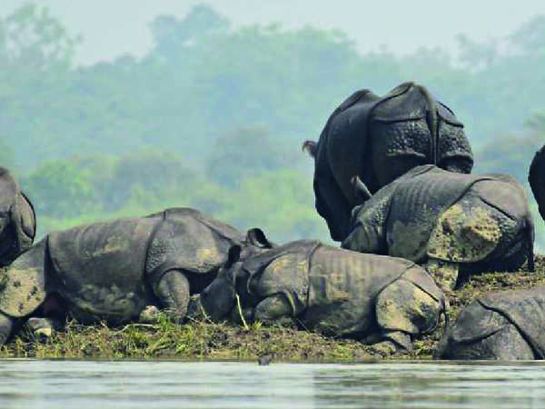 1-06