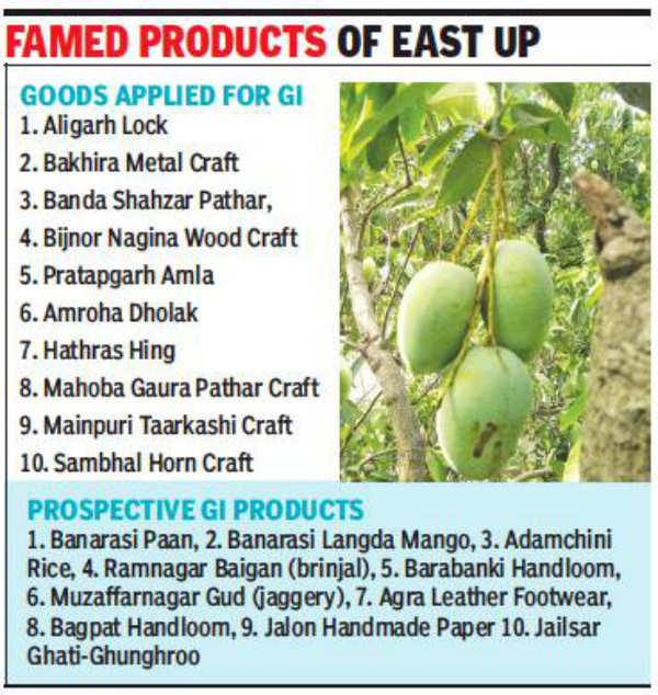 10 Indian Mangoes With GI Tags