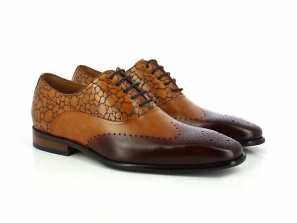 Alberto Torresi_ Austin Brown+Canery Formal Shoes_MRP Rs. 7,999