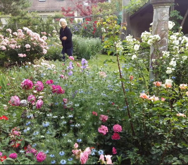 swiss_garden