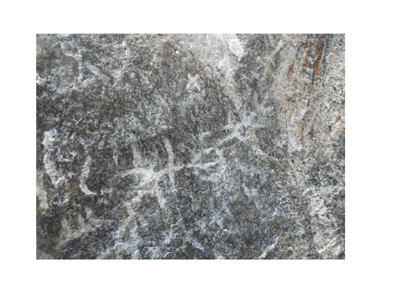 Prehistoric rock arts discovered in Tiruvannamalai cavern | Chennai ...