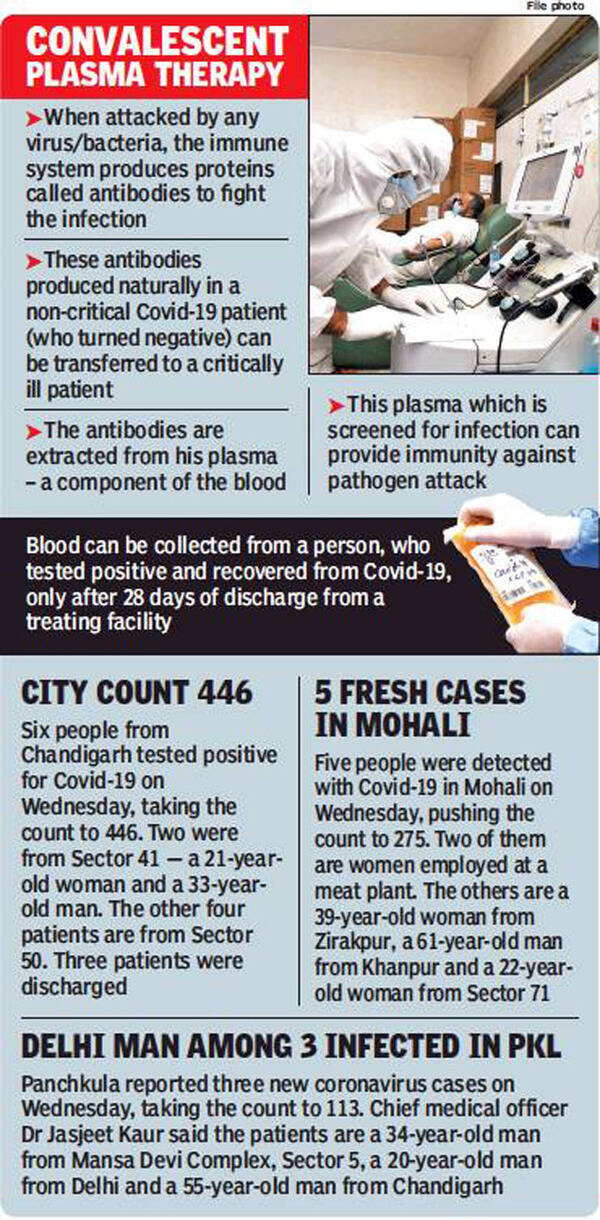 No antibodies in 25 plasma samples Study Chandigarh News Times of